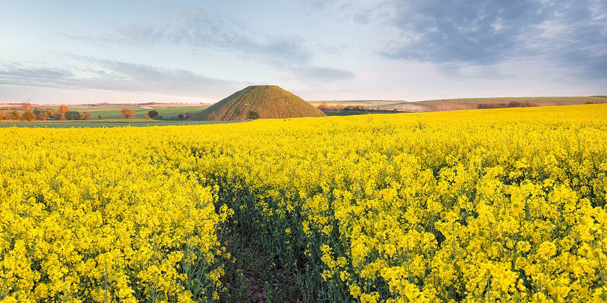 wilts-slider4